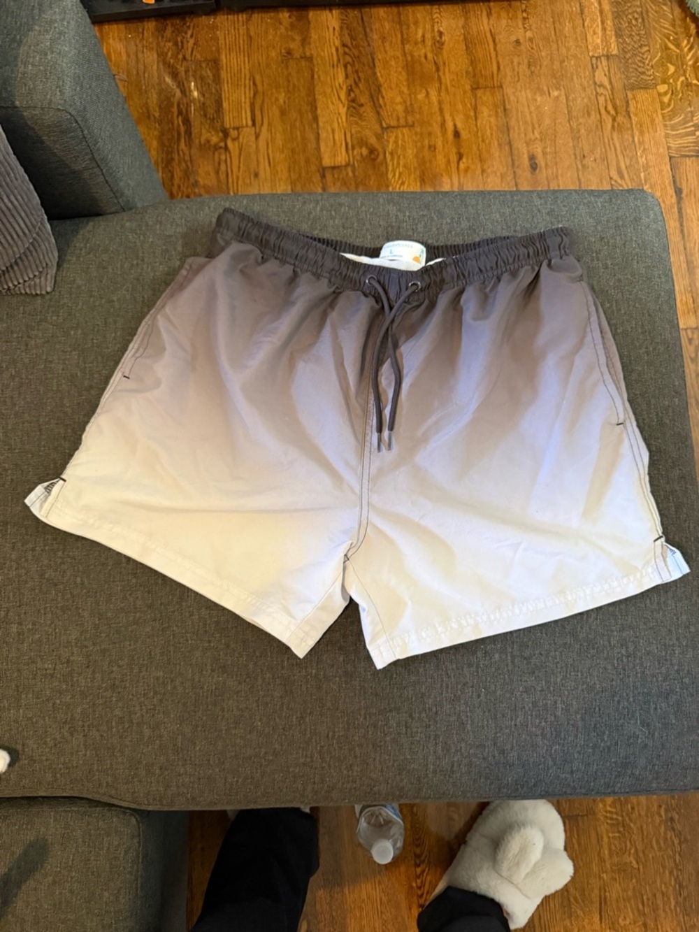 Ombre men’s swim shorts in Gray to Cream